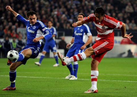 森林狼崛起 森林狼崛起